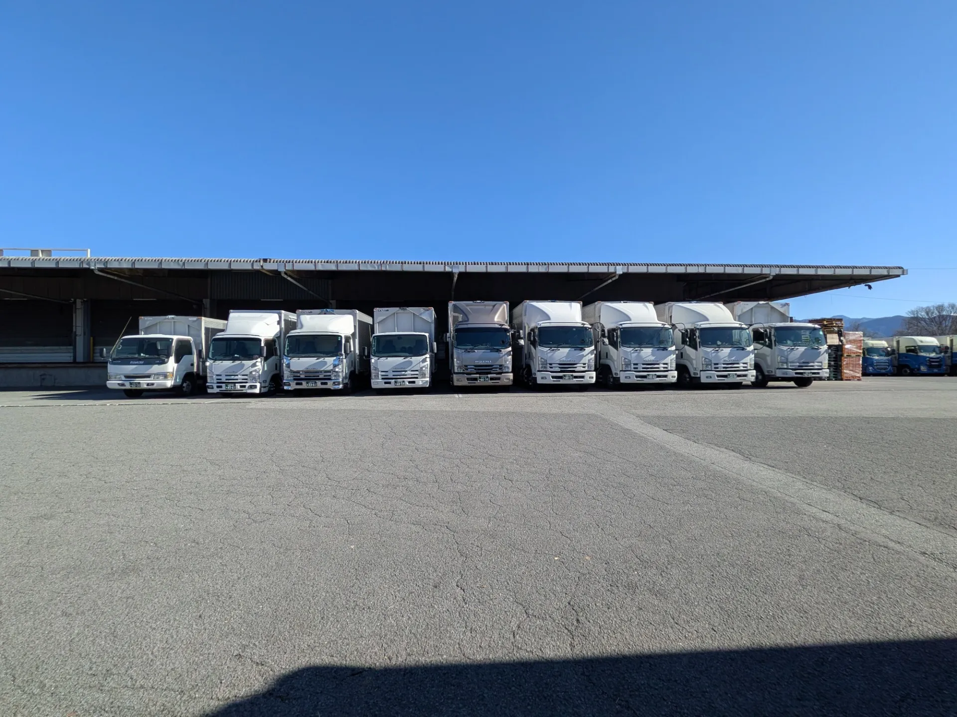 オー・エヌ・ビー有限会社